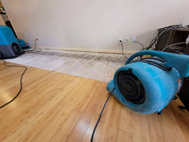 Professional Burst Pipe Water Damage technician working in Patrick AFB, FL